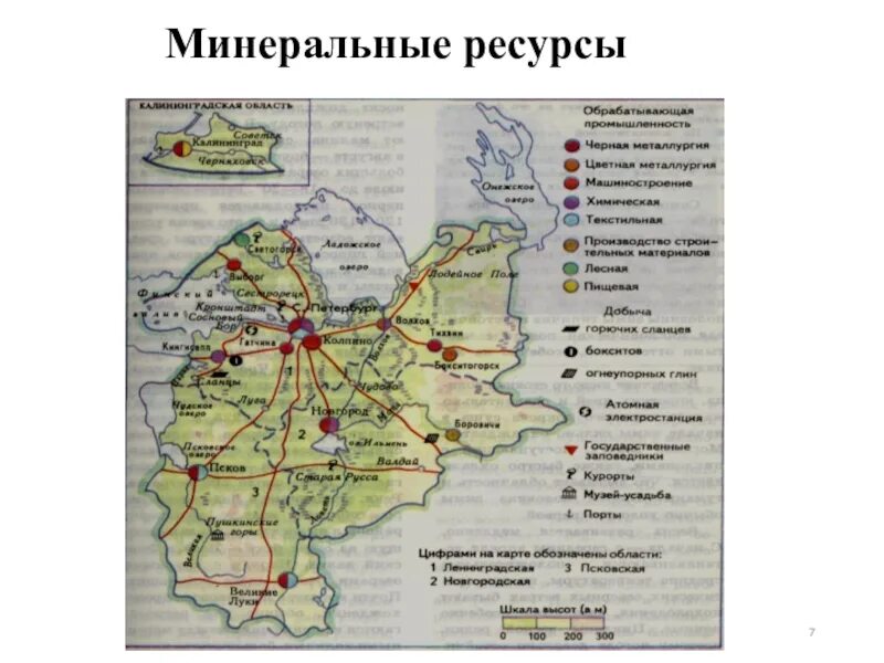 Карта полезных ископаемых Северо Западного экономического района. Северо-Западного экономического района ресурсы карта. Карта полезных ископаемых Северо Западного района. Полезные ископаемые Северо Западного района России на карте. Центры производства северо западного района