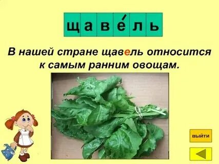 В слове щавель 3 слога