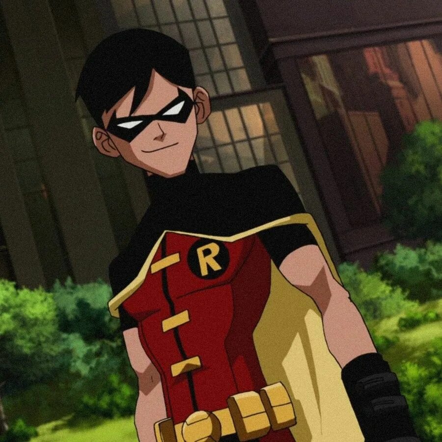 Robin hero. Robin hero