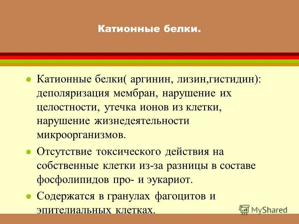 Катионный белок что показывает у детей. Катионные белки. Катионные белки в иммунологии. Эозинофильные катионные белки. Катионный белок функция.