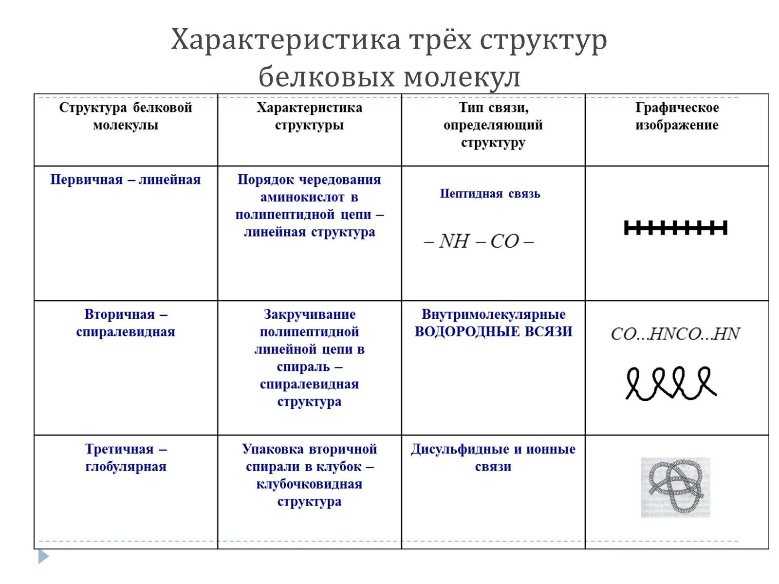 Три особенности белков. Структура белка характеристика таблица. Характеристика структуры белковой молекулы. Таблица структура белка характеристика структуры. Структуры белка характеристика структуры белковой молекулы.