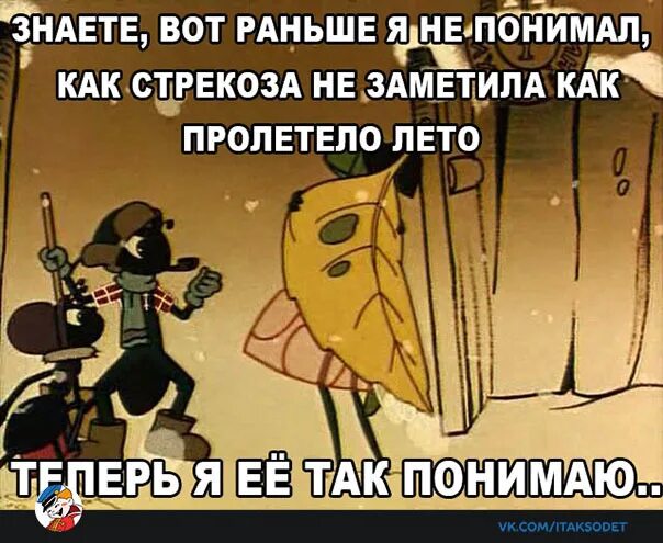 В детстве не понимал как Стрекоза не заметила как пролетело лето. В детстве не понимала как Стрекоза не заметила как. Не понимал как Стрекоза. Картинка в детстве не понимала как Стрекоза не.