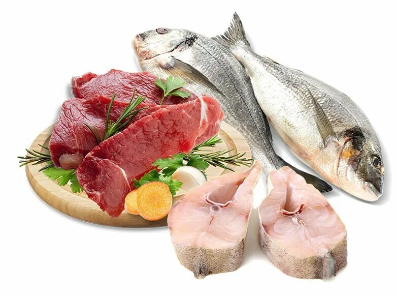 Мясо рыба дети. Мясо рыба. Рыбные изделия. Мясные и рыбные продукты. Мясо рыба курица.