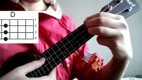 Директор укулеле
