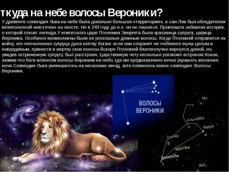 Сказка о созвездии льва