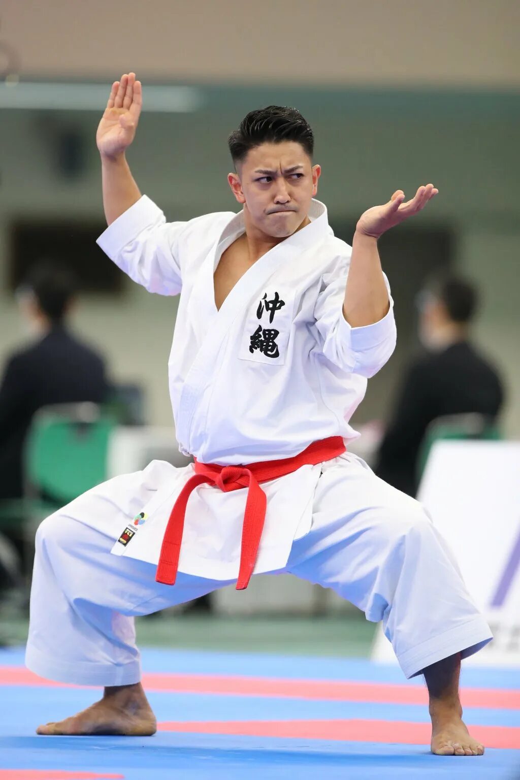 Japanese karate