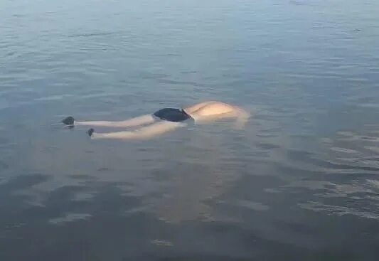 В Кургане на Голубых озерах утонул мужчина