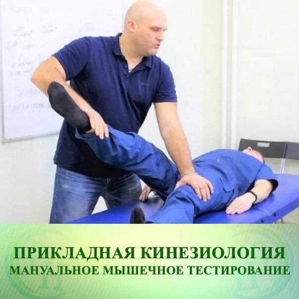 Мануальное мышечное тестирование. Мануально мышечное тестирование. прикладная кинезиология. прикладная кинезиология тестирование. мышечный тест кинезиология.