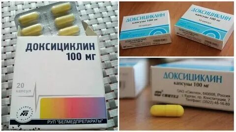 Какие антибиотики пропить при укусе клеща. Какие антибиотики пропить при укусе клеща