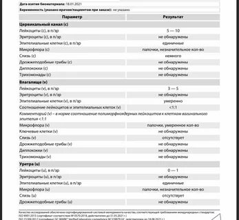 Лейкоциты микроскопия что это