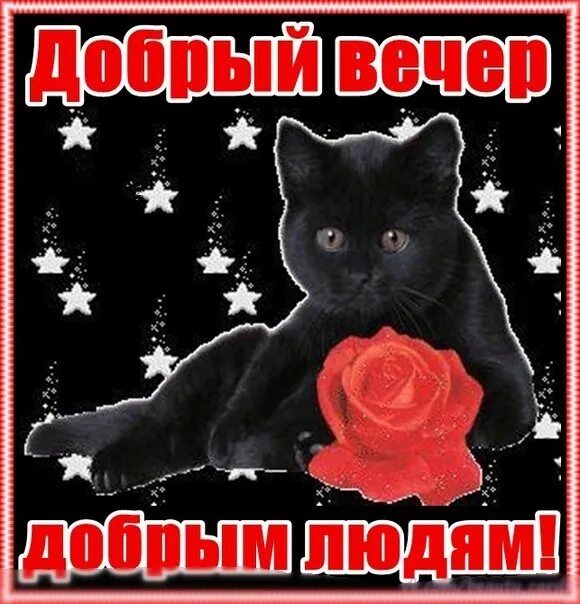 Стихи и чашечка кофе. Просто ДОБРОЕ УТРО , пользователь Татьяна Кемова Группы