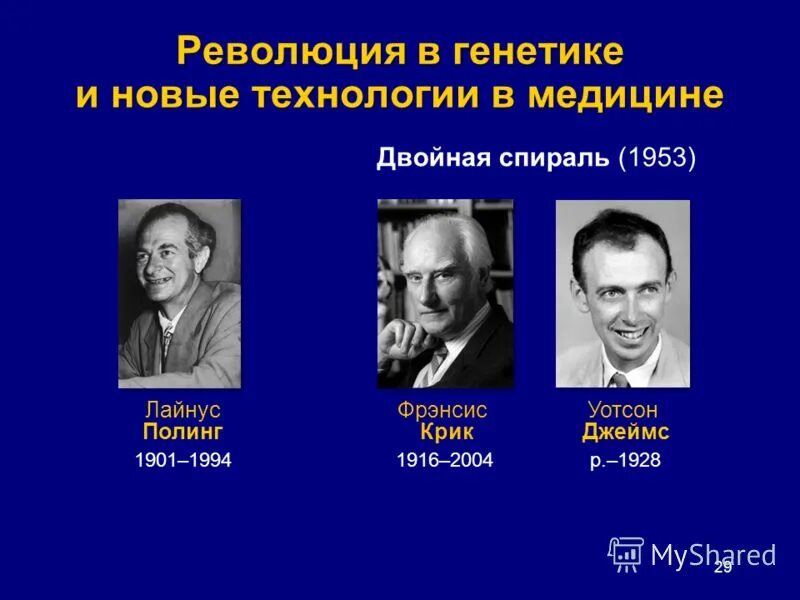 мендель закономерности генетики. история развития генетики этапы. уильям бэтсон (1861 – 1926). т. генетика в каком году.