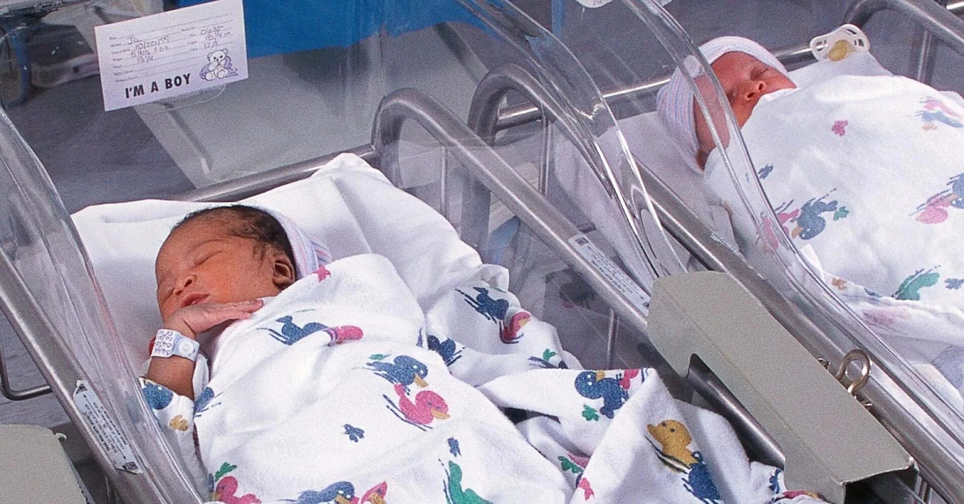 Rich birth. Rich birth. Rich birth. Rich birth. Rich birth.