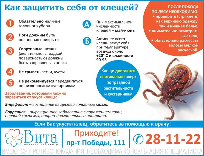 Как защититься от клещей человеку. Защититься от клещей. как защитить себя от клещей. как уберечь от клещей. обезопасить себя от клещей.