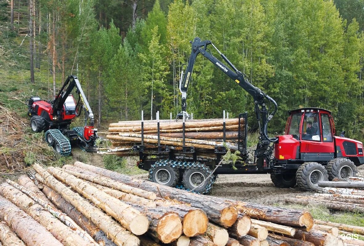 Форвардер Комацу. Лесозаготовительная техника Komatsu. Форвардер КАМАЗ. Лесозаготовительный комплекс КАМАЗ.