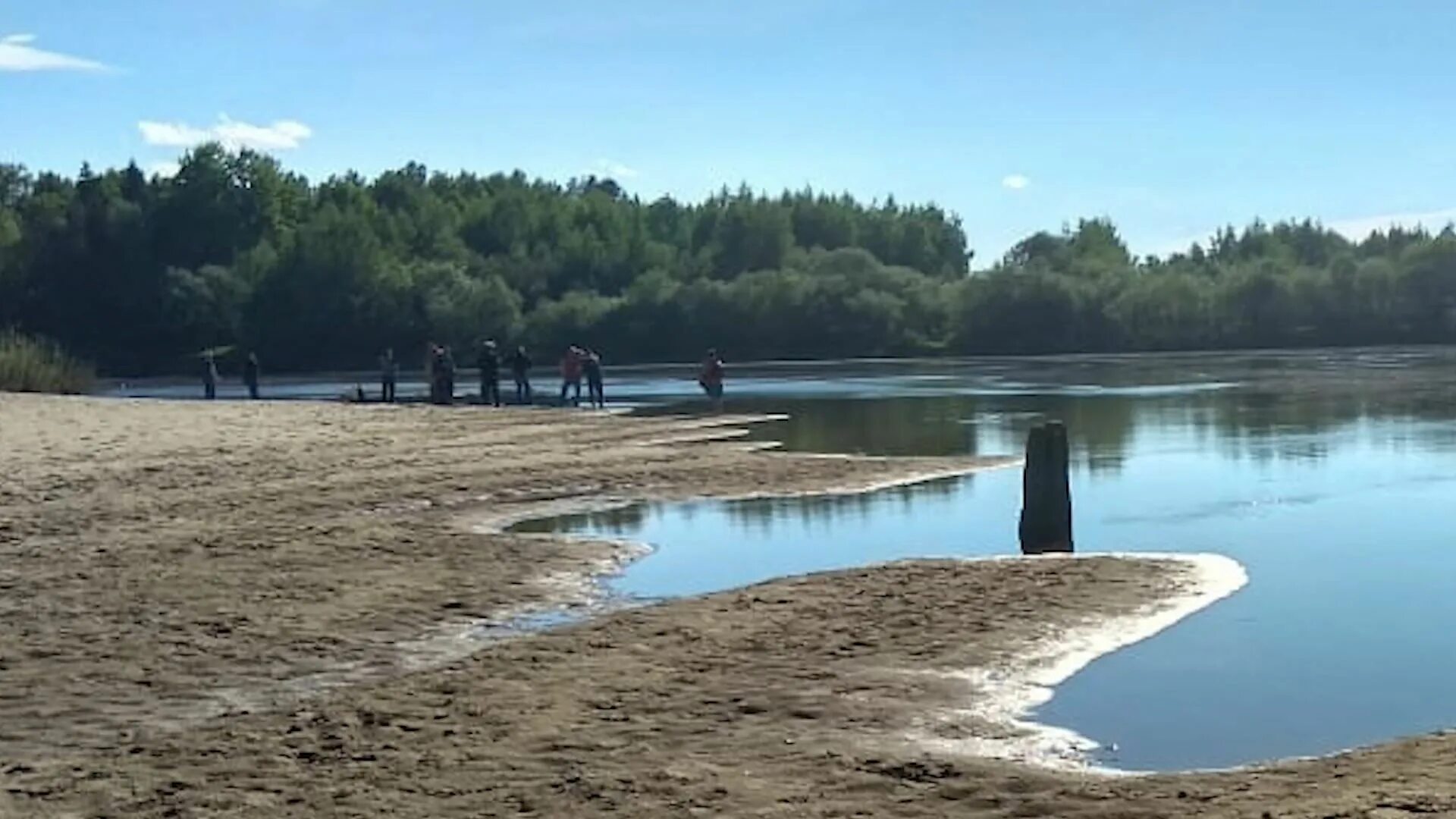 Уровень воды в ветлуге шарья на сегодня. Пляж Шарья Лесопристань. Ветлуга пляж Шарья. Шарьинский пляж. Ветлужский (Костромская область).