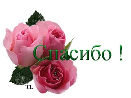 Благодарю очень ценно