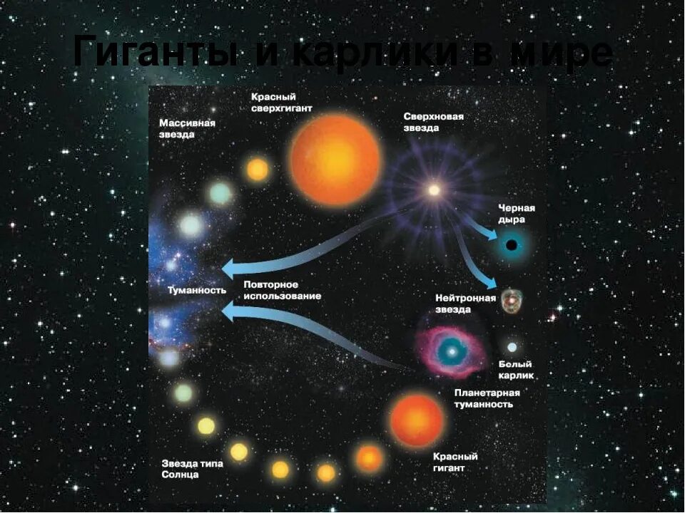 Какие звезды сверхгиганты. Звезды карлики гиганты и сверхгиганты. Жизненный цикл звезд протозвезда. Сверхгигант звезда Бетельгейзе. Желтый карлик Эволюция звезд.
