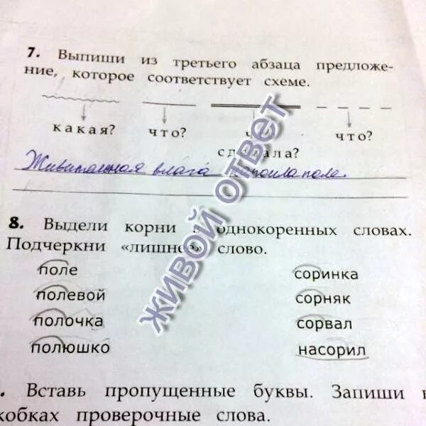 Сорняк проверочное слово. Сорняк проверочное слово. Сорняк проверочное слово. Вставь безударную гласную запиши проверочное слово. Как нужно действовать если в корне слова две безударных.