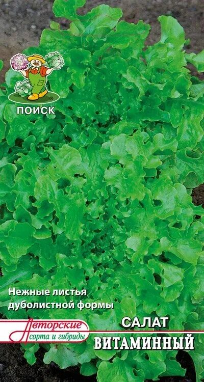 Салаты сорта для подмосковья