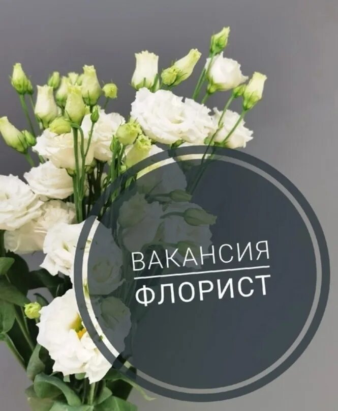 Ищем флориста. Требуется флорист. Вакансия флорист. Продавец флорист.