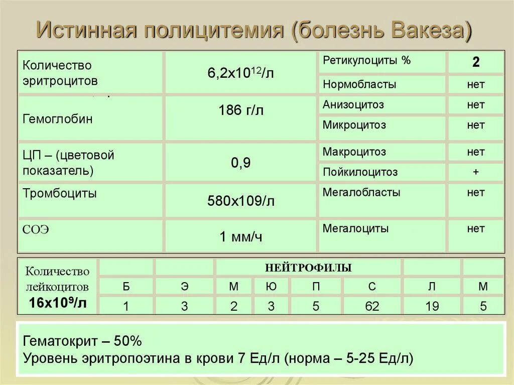 Лейкозу нет сайт фонд борьбы с лейкемией