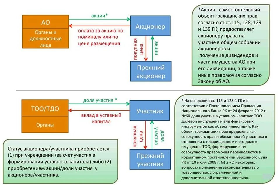 Со акционер. Структура учредителя. ООО И ТОО разница. Доли участия в уставном капитале. Схема участия в уставном капитале.