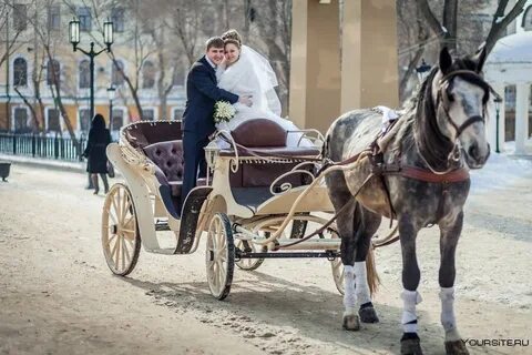Карета отзывы
