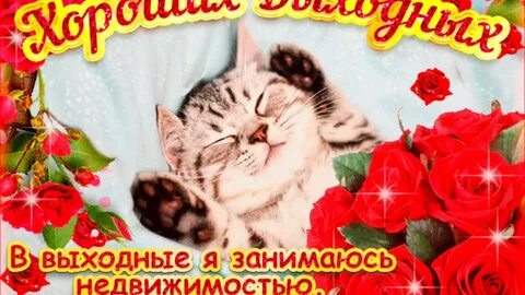 Пожелания хороших праздничных дней