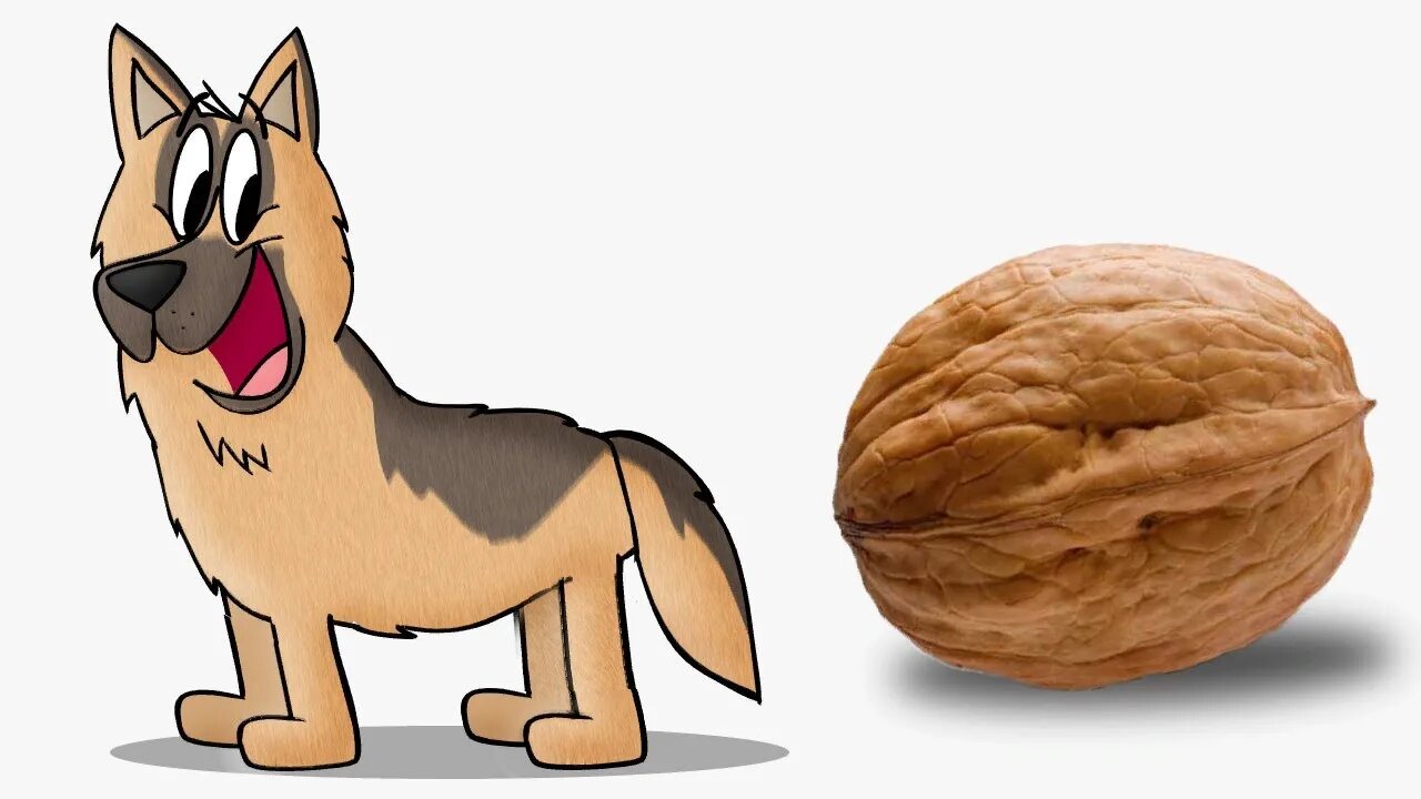 Арахис собаке. Собака орех. Пёс орешек. Орех с песиком. Щенок с орехом.