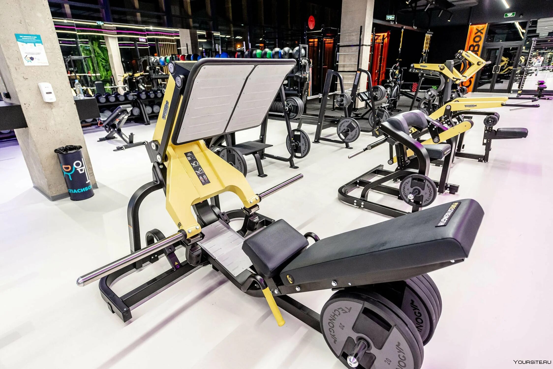 Ddx жулебино. Ddx фитнес жулебино. dnx fitness жулебино. ddx fitness новогиреево. беговая дорожка ddx fitness.