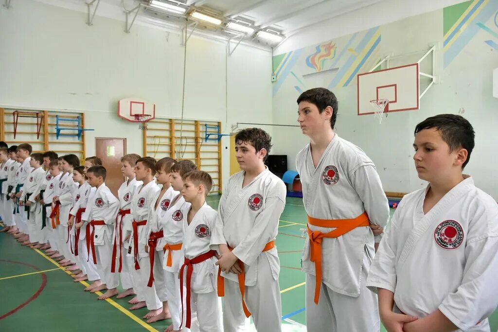 московская федерация киокусинкай каратэ. клубы карате москвы. клубы карате москвы. дзаншин карате калининград. каратэ абакан.