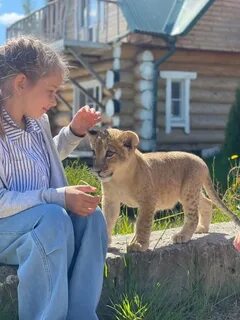 Зоопарк аленушка