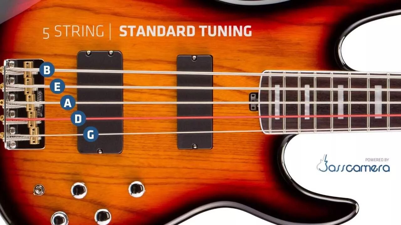 5 String Bass Tuning. Бас гитара Tune. Standart Tune Guitar. Standard Tuning гитара. Bass tuning