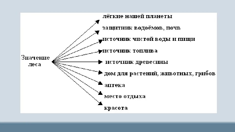 К Паустовский значение леса схема. Значение леса в природе и жизни человека схема. Схема значение леса для природы по тексту Паустовского. Составить схему значение леса в жизни северян.