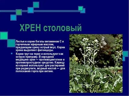 Хрен отличишь