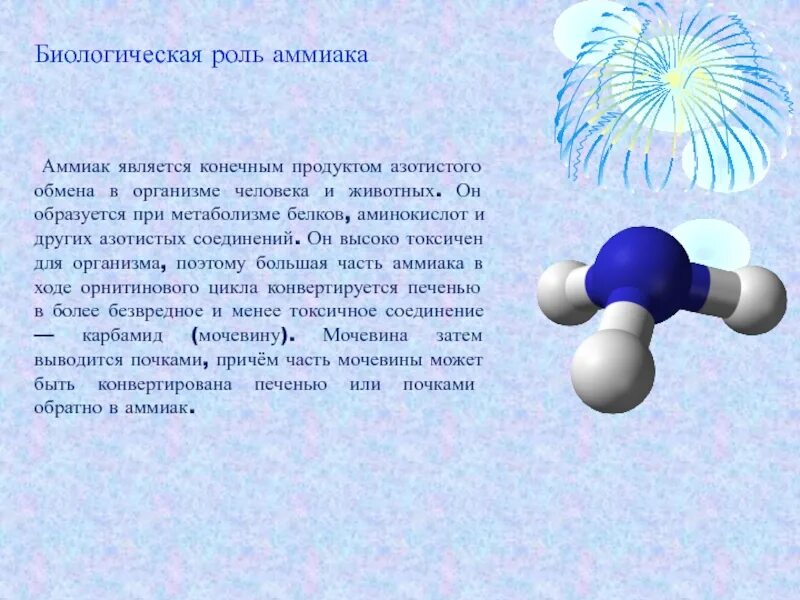 Аммиак можно определить. Аммиак в организме человека. Основные источники аммиака в организме человека.. Аммиак образуется в организме. Аммиак в организме человека образуется при.