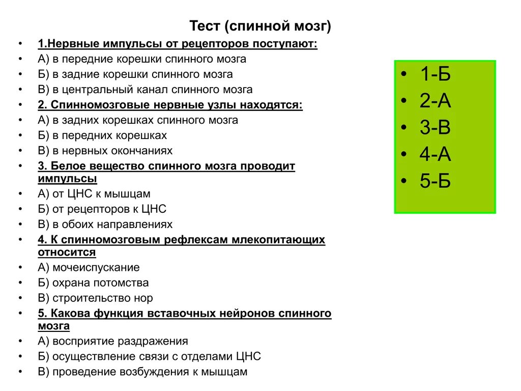 Тест головной и спинной мозг 8 класс