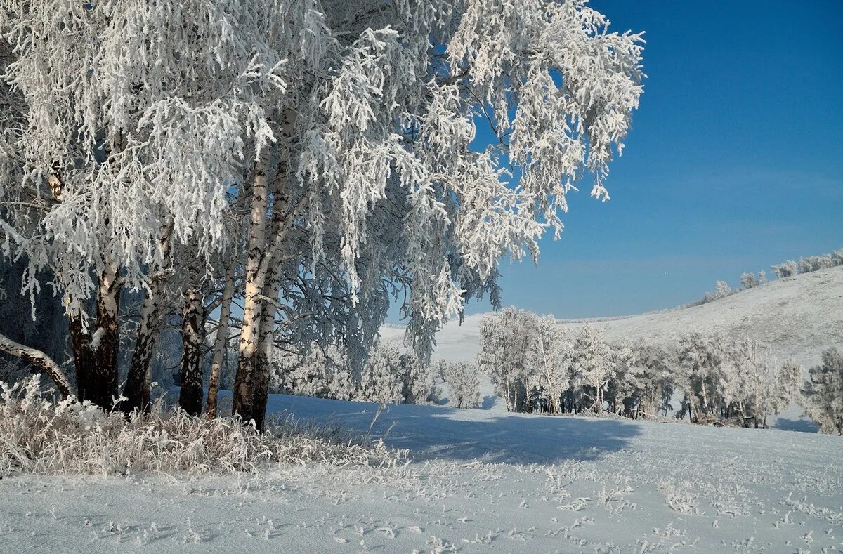 Снежка россия