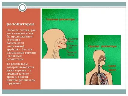 Грудной голос