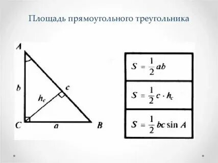 Как найти площадь основания прямоугольного треугольника