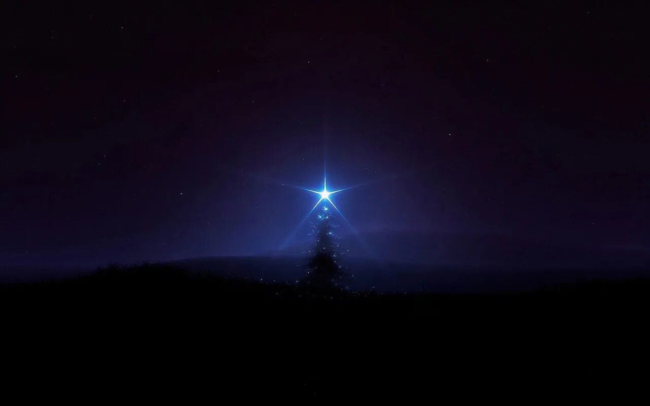 Ночью в небе зажигаются звезды. Любоваться звездным небом. Ночью в небе зажигаются звезды. Любоваться звездным небом. Ночью в небе зажигаются звезды.