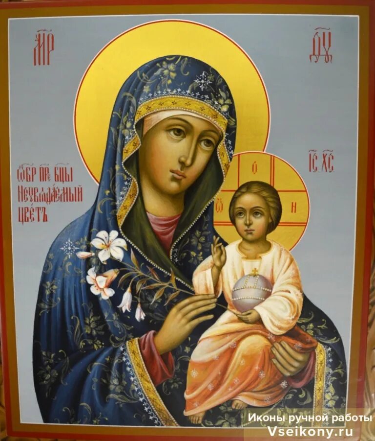 Икона неувядаемый цвет 16 апреля картинки. Икона богородицы неувядаемый цвет. неувядаемый цвет икона 18 век. икона б м неувядаемый цвет. цветы на иконе неувядаемый цвет.