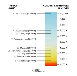 Light scale color