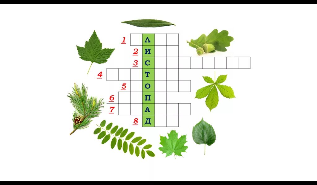 Собери 9 слов. Кроссворд про деревья для детей. Кроссворд по экологии для дошкольников. Кроссворд про природу для детей. Кроссворд растения для детей.