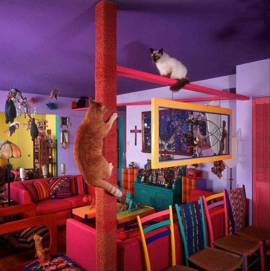 Развлечения для котов. Комната для кошек. Интерьер комнаты для кошек. Комната в стиле котик. Кошка в интерьере.