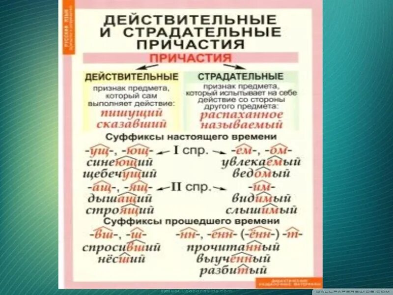 Уносимый какой вид