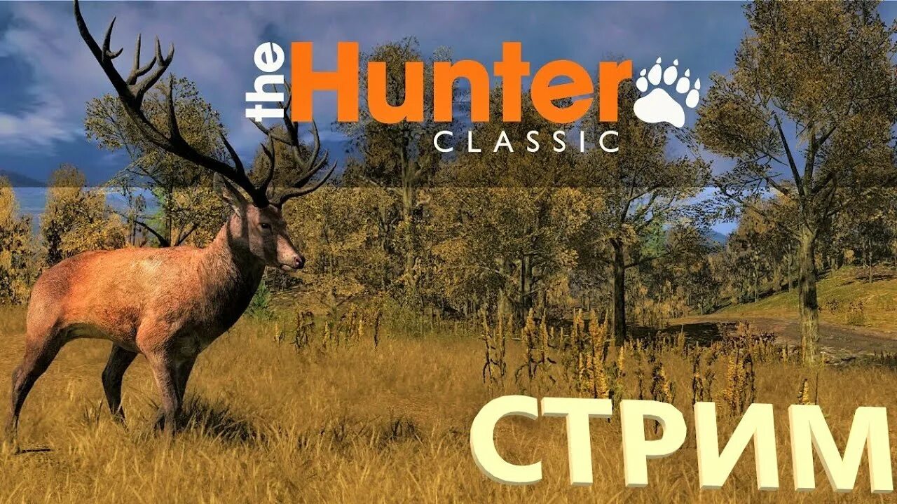 The hunter call of the wild охота на чучуну. Северный олень hunter classic. The hunter classic благородный олень. Deer hunter classic. The hunter classic животные.