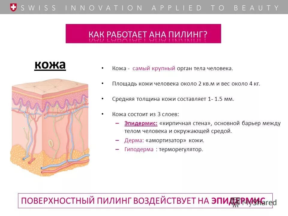 Плотность кожи человека. Плотность кожи человека
