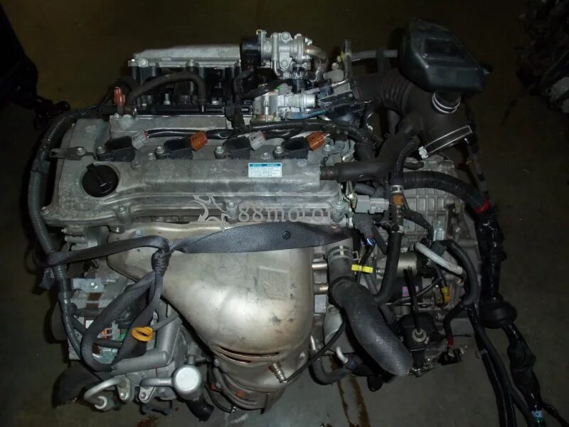 Двигатель тойота 1az fe. Toyota az 1. Двигатель тойота 1az fe. 1az-fe rav4. Мотор тойота 1az fe.